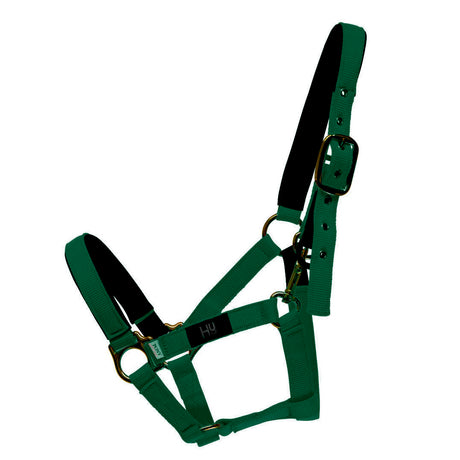 #colour_green